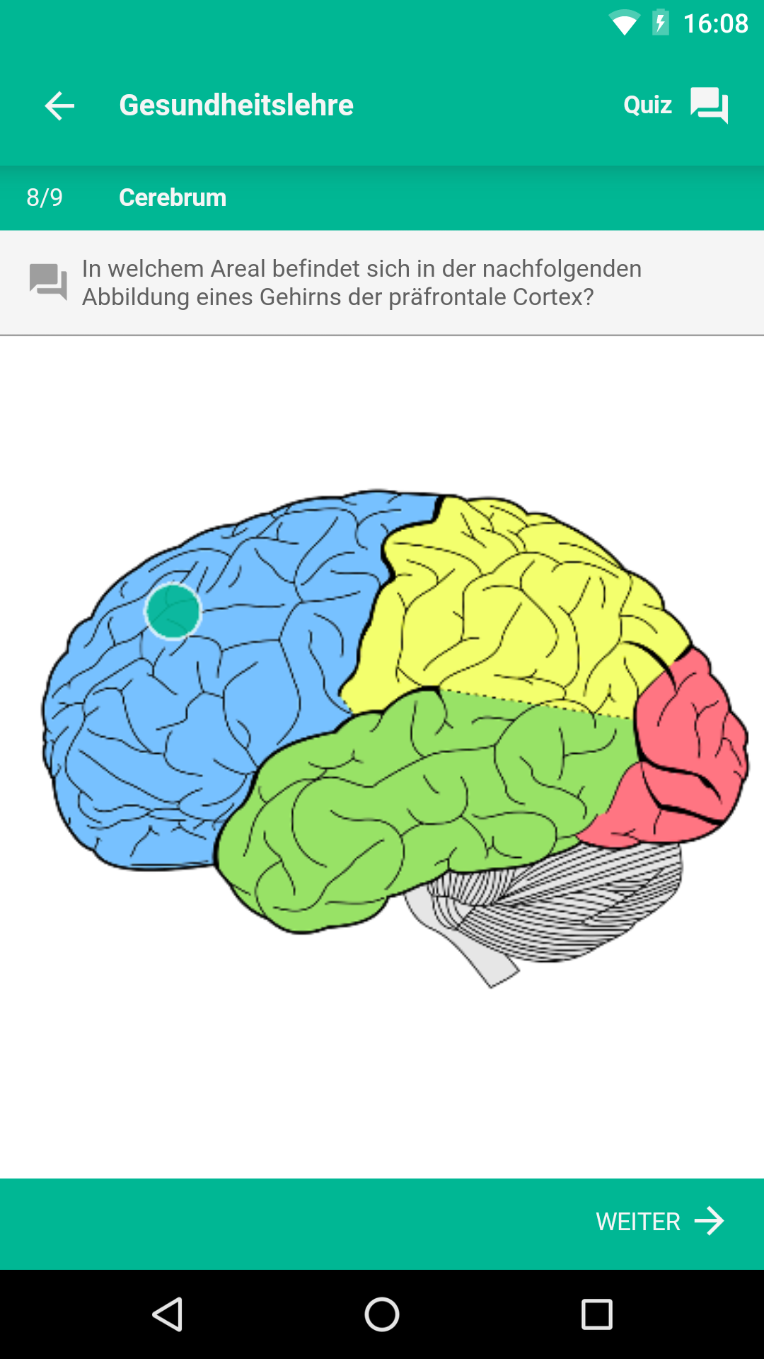 gehirn quiz in emed app uni ulm